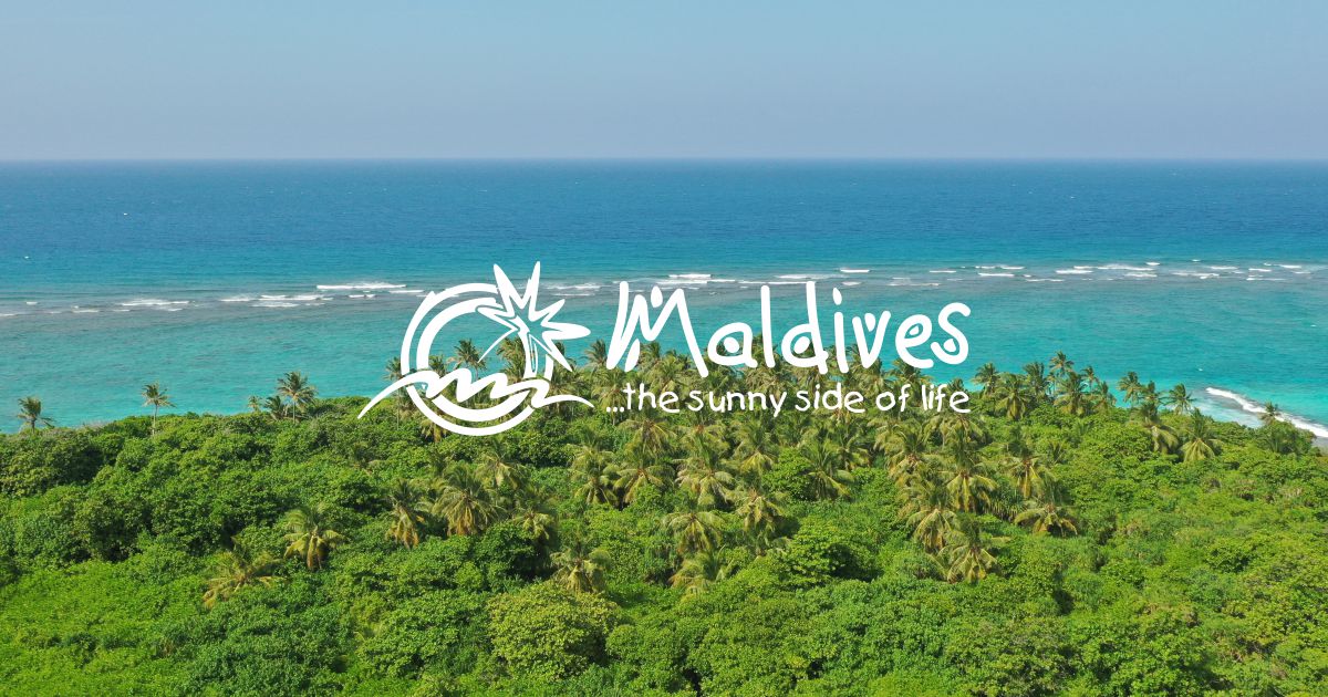 Visit Maldives - Experiences > The Sea of Stars in the Sunny Side of Life